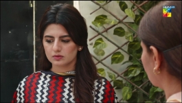 Bichoo - 16th Jun 2022